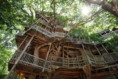 0715_kcfe_treehouse_atb